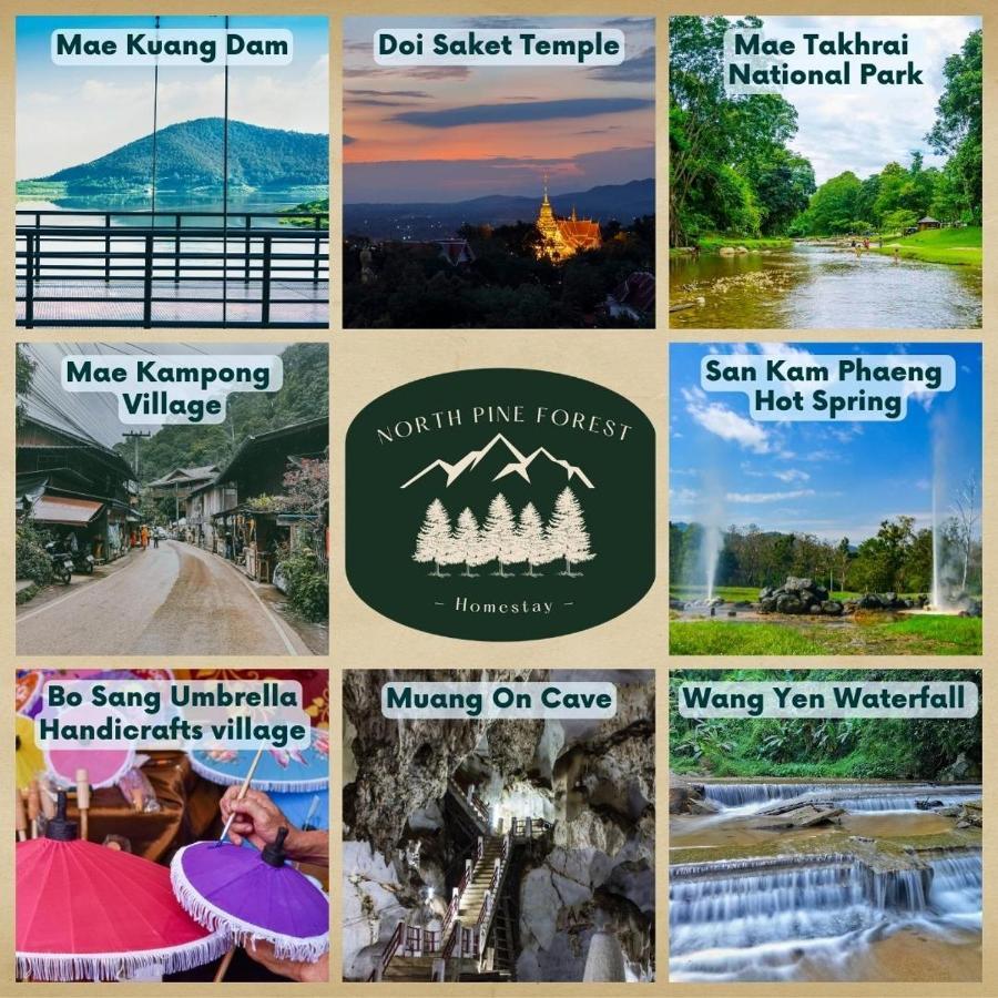 North Pine Forest Homestay บ้านไม้สนโฮมสเตย์ Ban Mae Pong Dış mekan fotoğraf