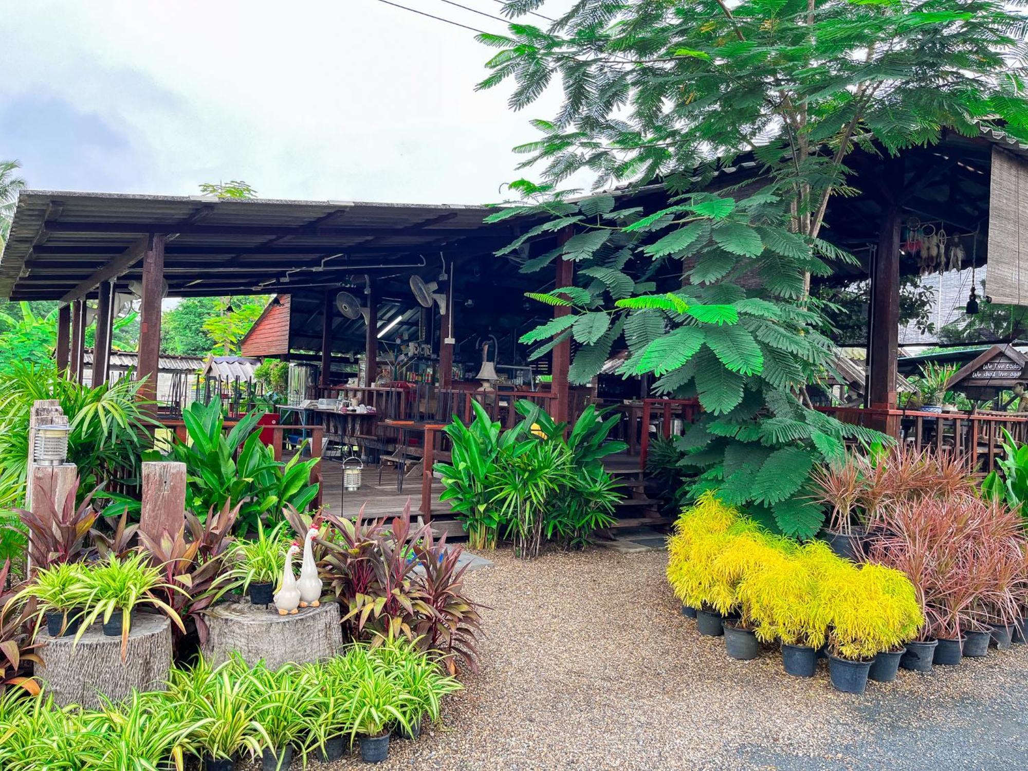 North Pine Forest Homestay บ้านไม้สนโฮมสเตย์ Ban Mae Pong Dış mekan fotoğraf