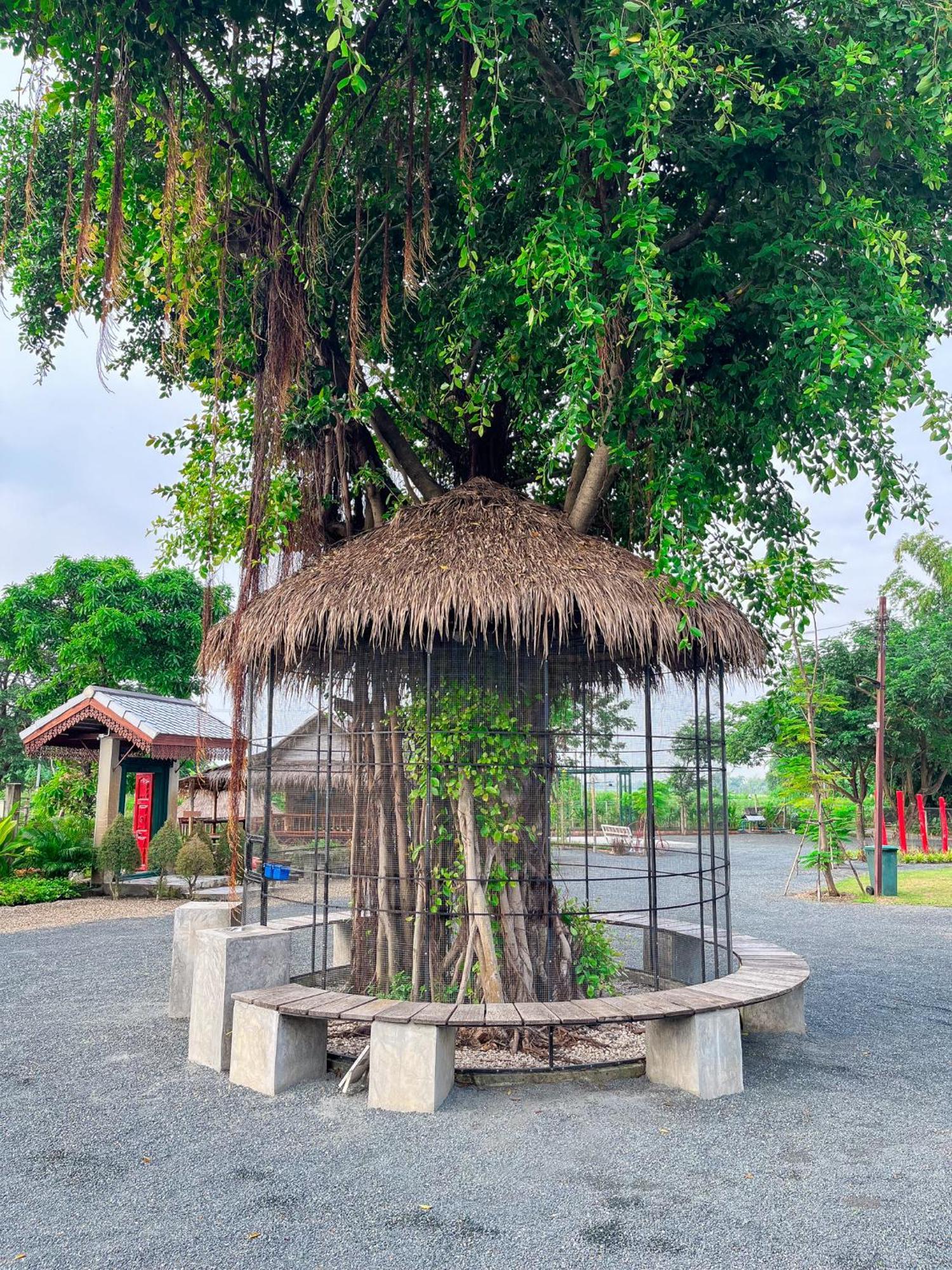 North Pine Forest Homestay บ้านไม้สนโฮมสเตย์ Ban Mae Pong Dış mekan fotoğraf