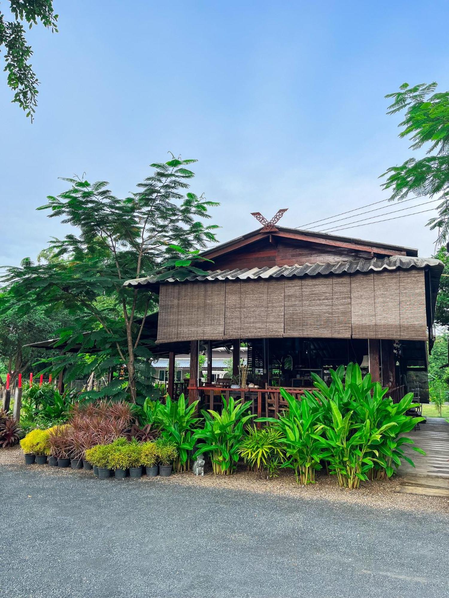 North Pine Forest Homestay บ้านไม้สนโฮมสเตย์ Ban Mae Pong Dış mekan fotoğraf