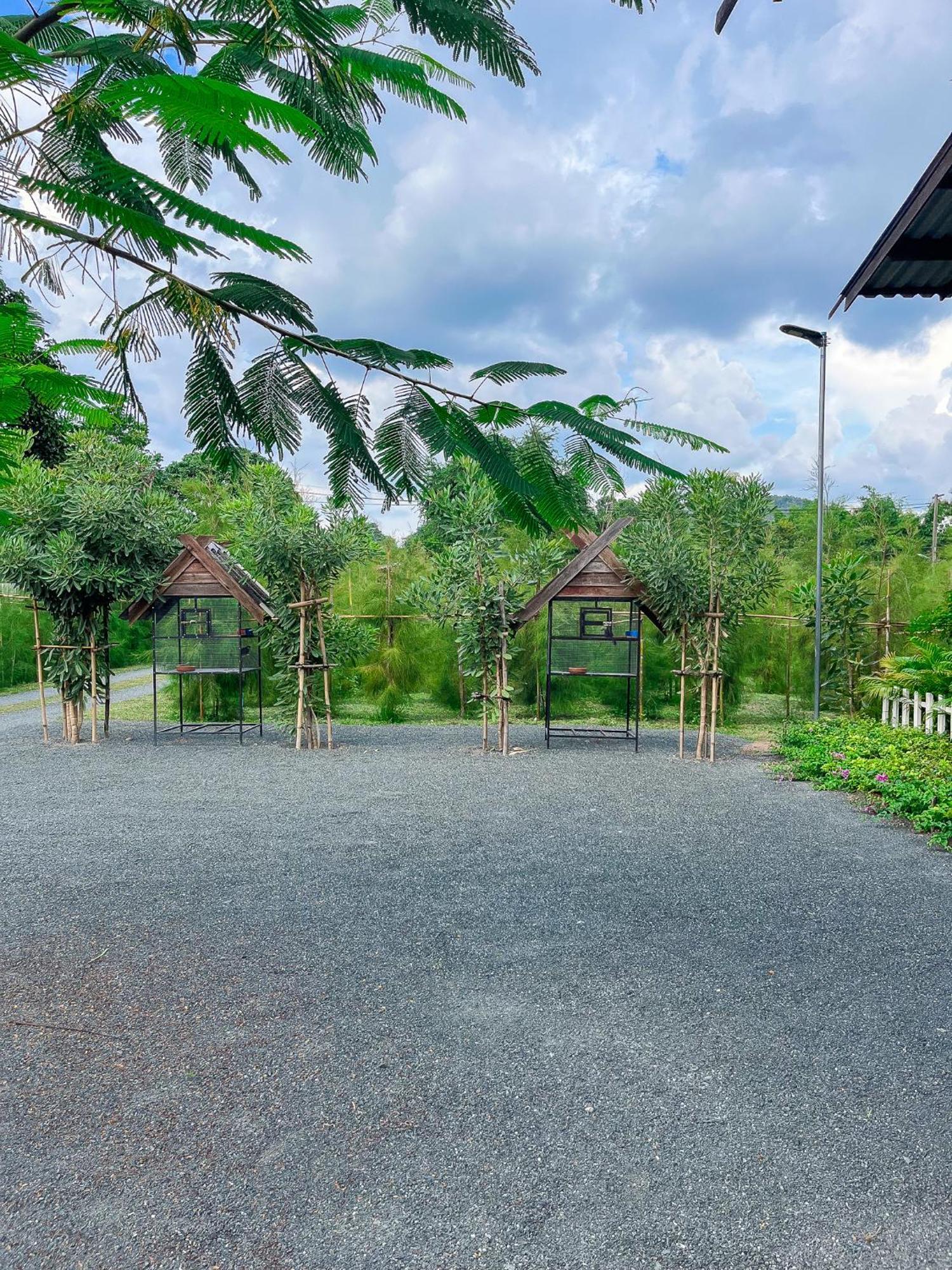 North Pine Forest Homestay บ้านไม้สนโฮมสเตย์ Ban Mae Pong Dış mekan fotoğraf