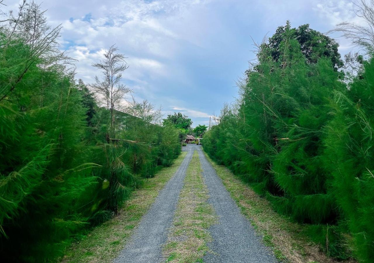 North Pine Forest Homestay บ้านไม้สนโฮมสเตย์ Ban Mae Pong Dış mekan fotoğraf