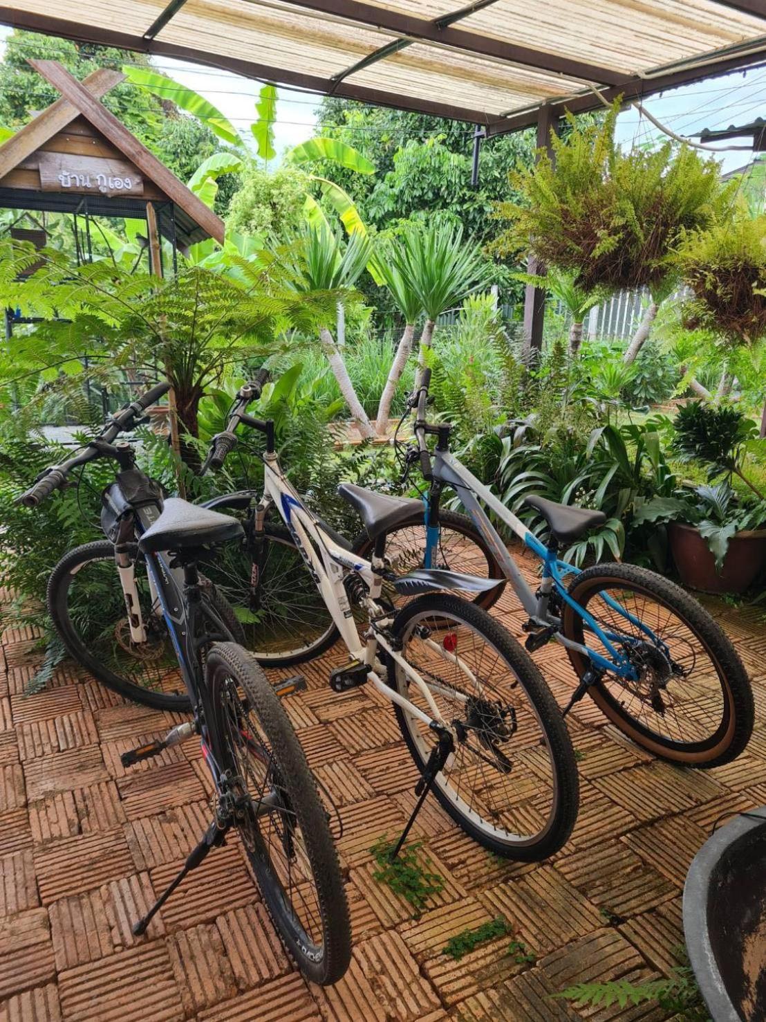 North Pine Forest Homestay บ้านไม้สนโฮมสเตย์ Ban Mae Pong Dış mekan fotoğraf